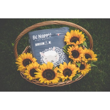 Couche Be Nappy taille 6