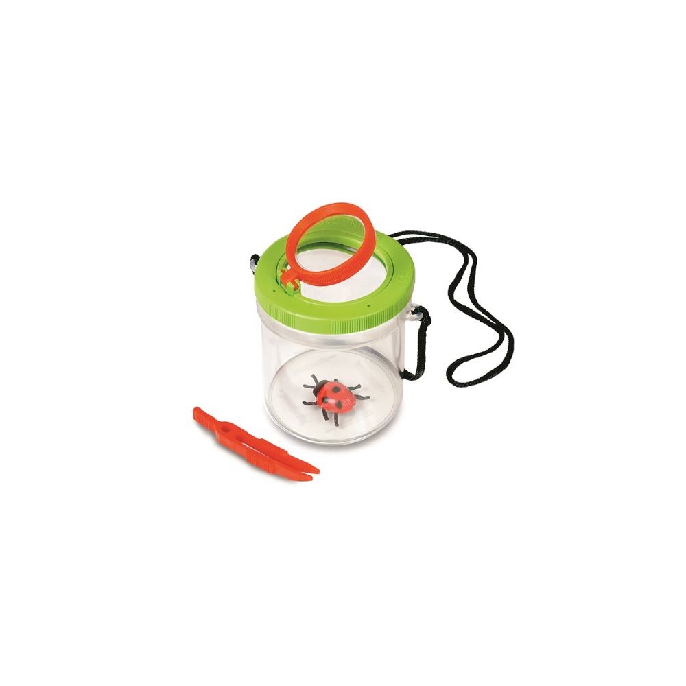 La scatola degli insetti