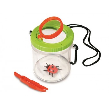 La scatola degli insetti